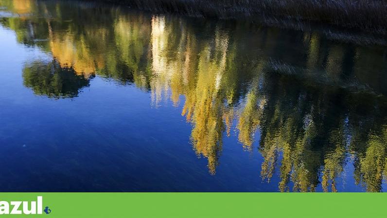 O regime de caudais mínimos no Tejo, vigente há 25 anos, está "obsoleto", denuncia o movimento