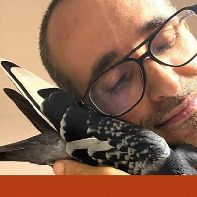 Barnabé, pombo de estimação, vive livre e rejeita prisões