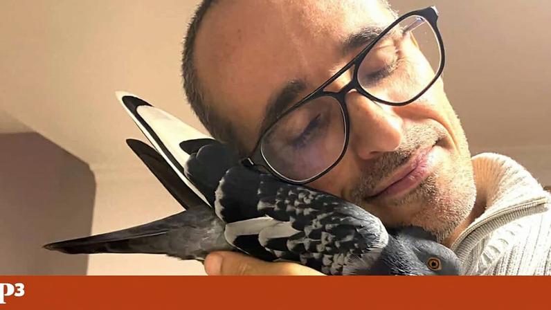 Hugo com o pombo de estimação Barnabé