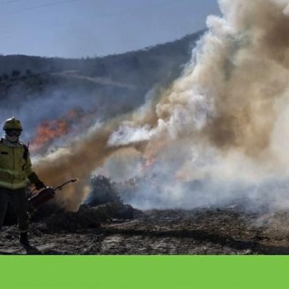 ICNF faz fogo controlado no inverno para prevenir incêndios