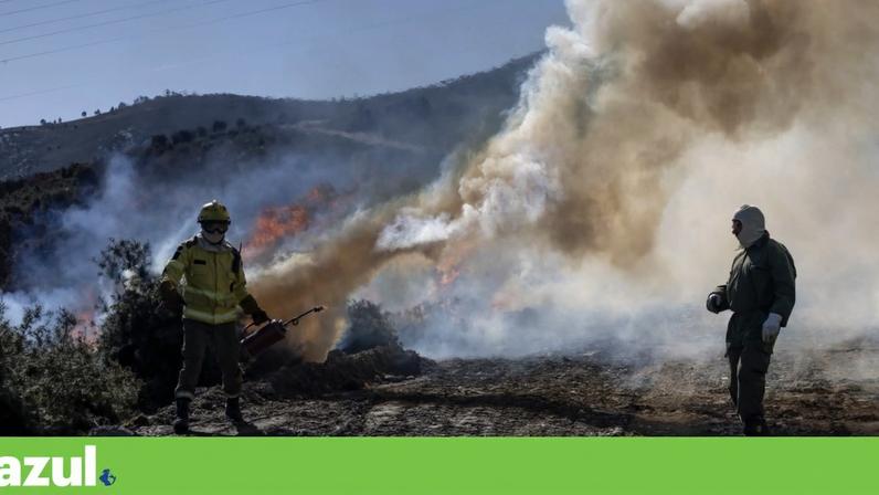 ICNF faz fogo controlado no inverno para prevenir incêndios