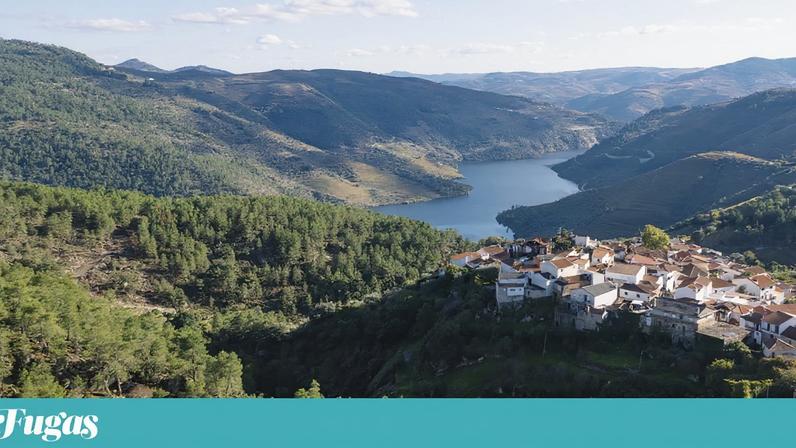 Detalhe dos novos passadiços de Alijó