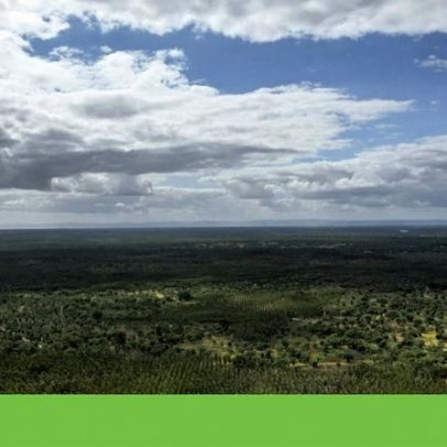 PS de Alter do Chão acusa câmara de aprovar campo de tiro junto às comunidades