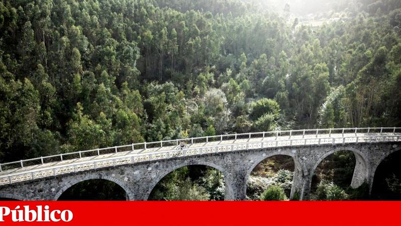 Os motivos para que os passageiros da Linha do Vouga fiquem sem comboio são vários