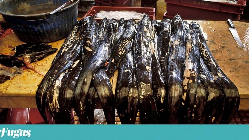 Vou apenas agradecer termos direito a este peixe tão bom e tão raro, que vive a tão grande profundidade.