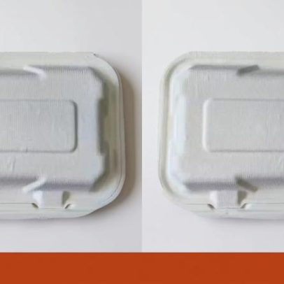 Olhos nas embalagens de comida reduzem ataques de gaivotas