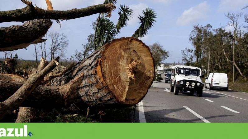 Consequências da tempestade Kristin em Leiria