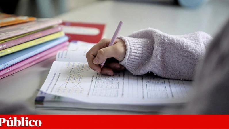 As bolsas abrangem vários níveis de ensino