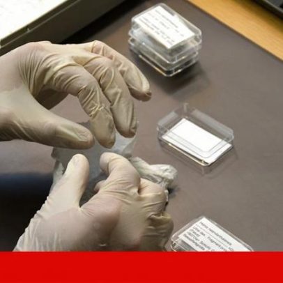 Genética esclarece a história do declínio dos neandertais