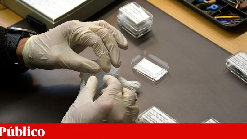 Análise laboratorial do fémur de um feto de neandertal do qual foi recolhida uma amostra de ADN antigo