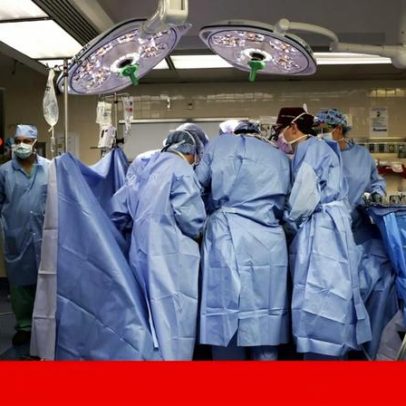 Vaticano afirma que católicos podem receber transplantes de órgãos de animais