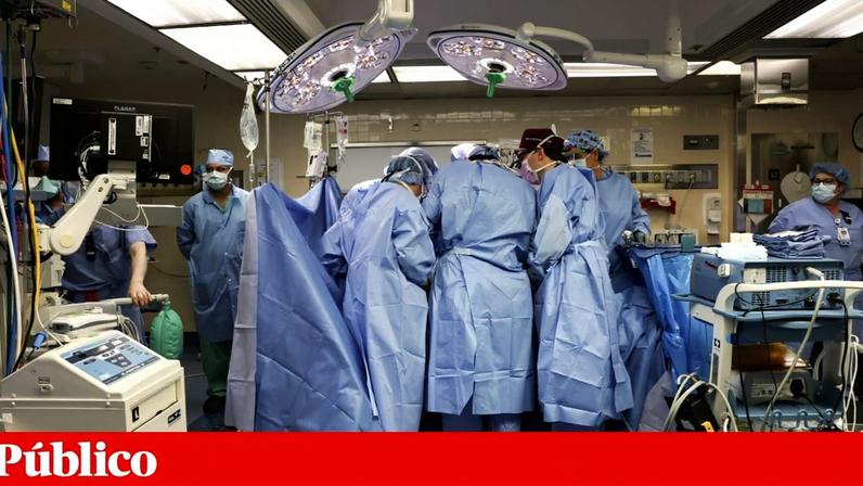 Xenotransplante de um rim de porco para um doente vivo em 2024, nos Estados Unidos