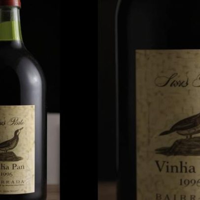 Luís Pato lança Vinha Pan 1996