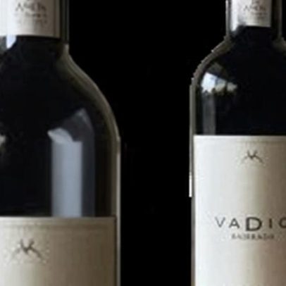 Grande Vadio Tinto 2011: vinho da safra de 2011