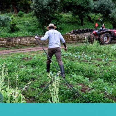 Sabores da cozinha saloia revelam tradição portuguesa em Cascais