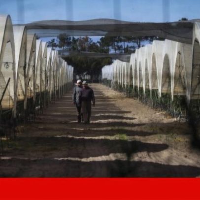 Mão-de-obra imigrante já representa 40% da força de trabalho