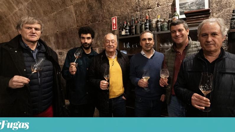 Os Baga Friends são os produtores Quinta da Vacariça, Sidónio de Sousa, Luís Pato, Vadio, Niepoort, Quinta das Bágeiras (nesta fotografia, da esquerda para a direita), Filipa Pato e Giz by Luís Gomes