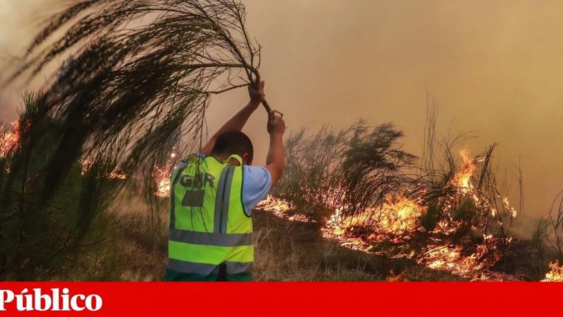Um militar da GNR combate um incêndio florestal em Lugar de Pousados, Quinta dos Lacraus, Trancoso, a 10 de Agosto de 2025