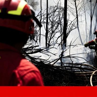 Mais de 100 operacionais combatem fogo no Parque Nacional da Peneda-Gerês