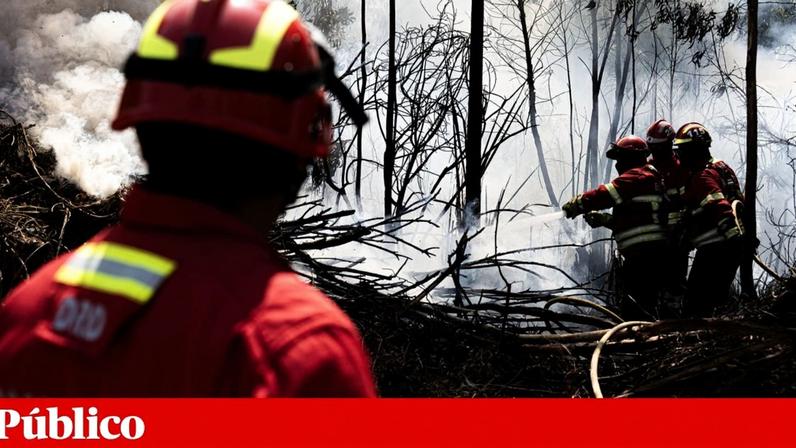 Pelas 18h20, as chamas estavam a ser combatidas por 103 operacionais apoiados por trinta meios terrestres e três meios aéreos