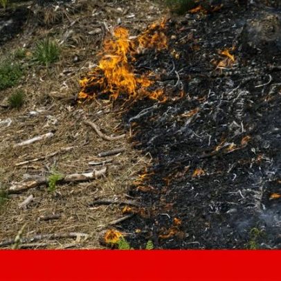 Incêndio no Parque Peneda-Gerês continua ativo, sem pontos sensíveis