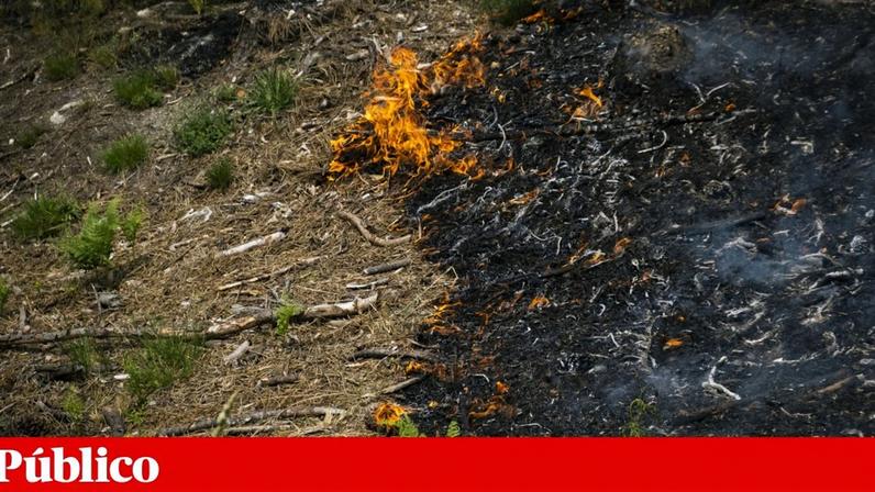 Fotografia de um incêndio no Parque Nacional da Peneda-Gerês em 2022