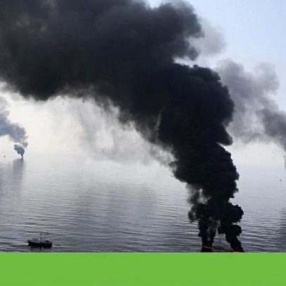 EUA isentam petrolíferas do Golfo do México da proteção de espécies ameaçadas