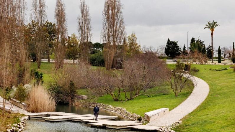 Parque Vale Grande celebra 20 anos como pulmão verde da Alta de Lisboa
