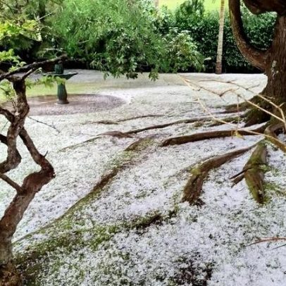 Açores registam quedas de granizo e neve perto dos zero graus