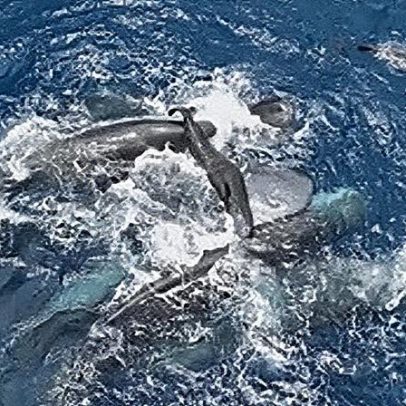 Natalidade: dados mostram variações regionais e tendências recentes