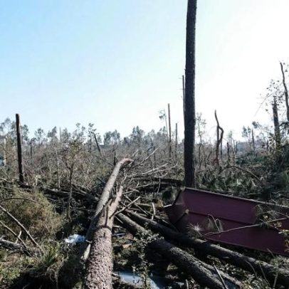 Leiria espera recolher mais de 7600 toneladas de resíduos