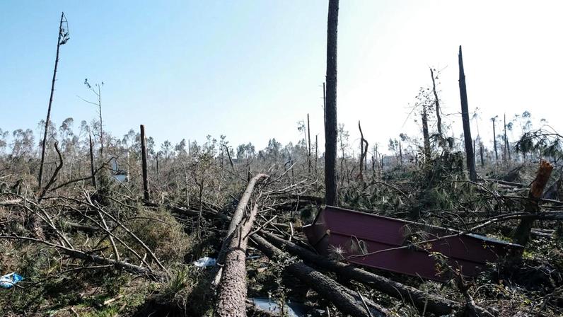 A Ecoambiente terá recolhido entre 28 de janeiro e 23 fevereiro "mais de dez mil toneladas" de resíduos