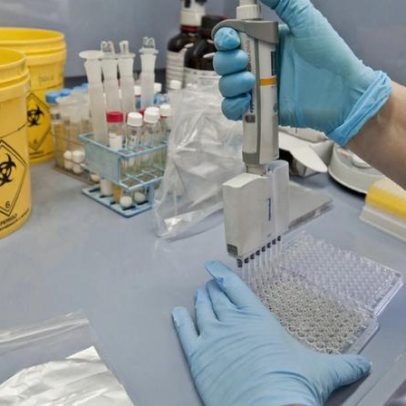 Cientistas de Coimbra reprogramam células antitumorais pela primeira vez