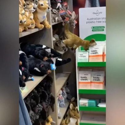 Marsupial mistura-se com peluches numa loja do aeroporto da Tasmânia