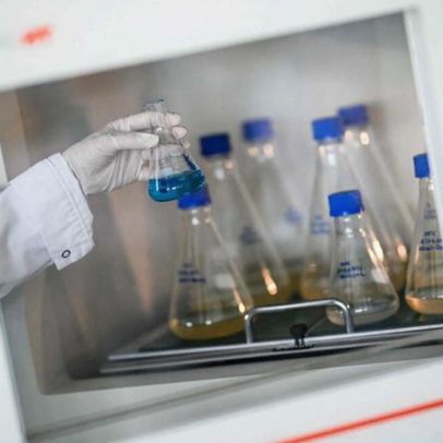 Tratamento oncológico com menos quimioterapia mostra resultados promissores