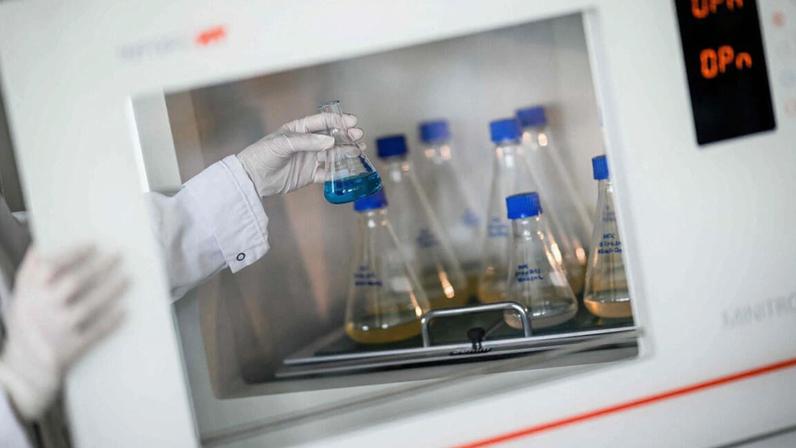 Tratamento oncológico com menos quimioterapia mostra resultados promissores