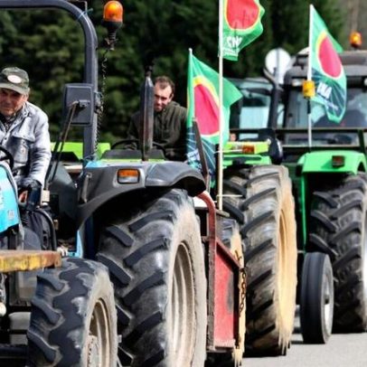 É preciso agir para evitar ruína do setor leiteiro de Aveiro