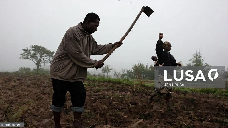 Governo angolano preocupado com efeito da escassez de chuva na produção agrícola