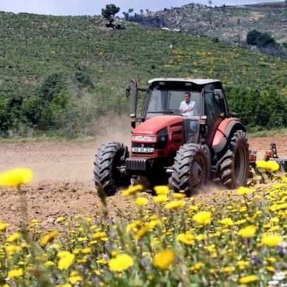 Cooperativas exigem gasóleo agrícola com o mesmo desconto de outros combustíveis