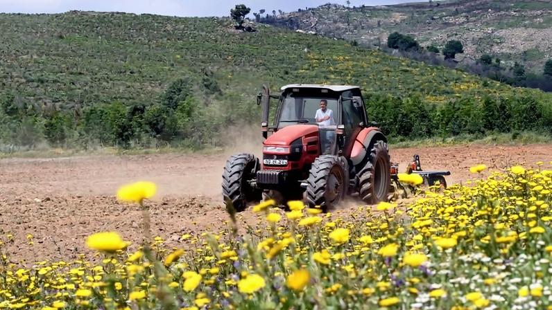 Cooperativas exigem gasóleo agrícola com o mesmo desconto de outros combustíveis