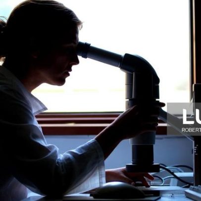 Moçambique reúne jovens investigadores da CPLP para promover ciência africana