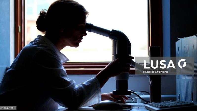 ​Moçambique reúne jovens investigadores da CPLP para promover ciência africana