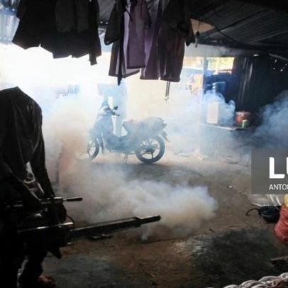 Dengue em Timor-Leste sobe para 22 mortes