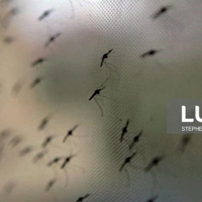 Mortes por malária em Sofala quadruplicam em 2025