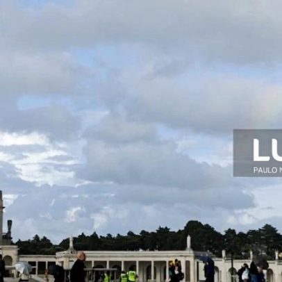 Santuário de Fátima inicia plantação de novas árvores no recinto