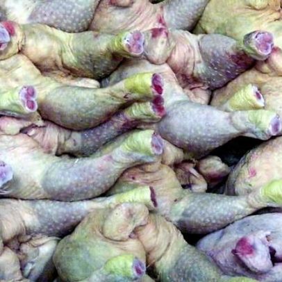 Angola gasta 850 mil dólares por dia com importação de frango, afirma governo