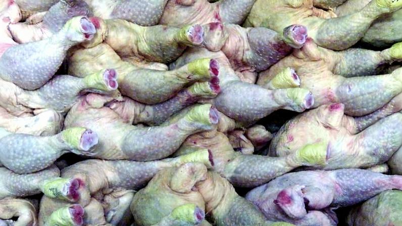 Angola gasta 850 mil dólares por dia com importação de frango, afirma governo