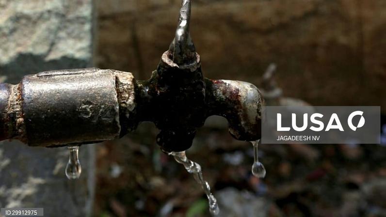 Associação Quercus pede ao Governo medidas para travar perdas de água