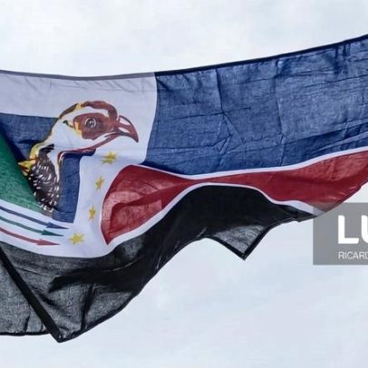 Renamo moçambicana pede coesão interna para eleger direção consensual