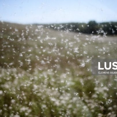 Pólen em alta nas regiões centro e sul a partir de sexta-feira